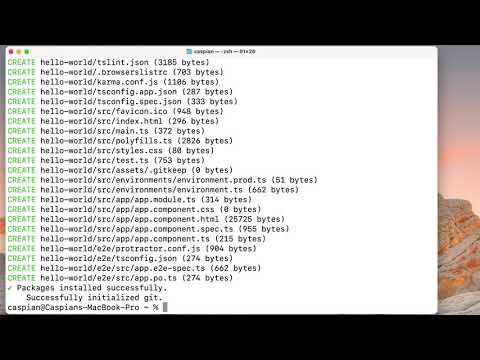 02 Angular - Hello World