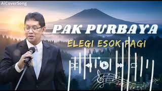 Download Lagu Elegi Esok Pagi Cover Pak Purbaya Lagu Ebiet G Ade yang Menyentuh Hati MP3