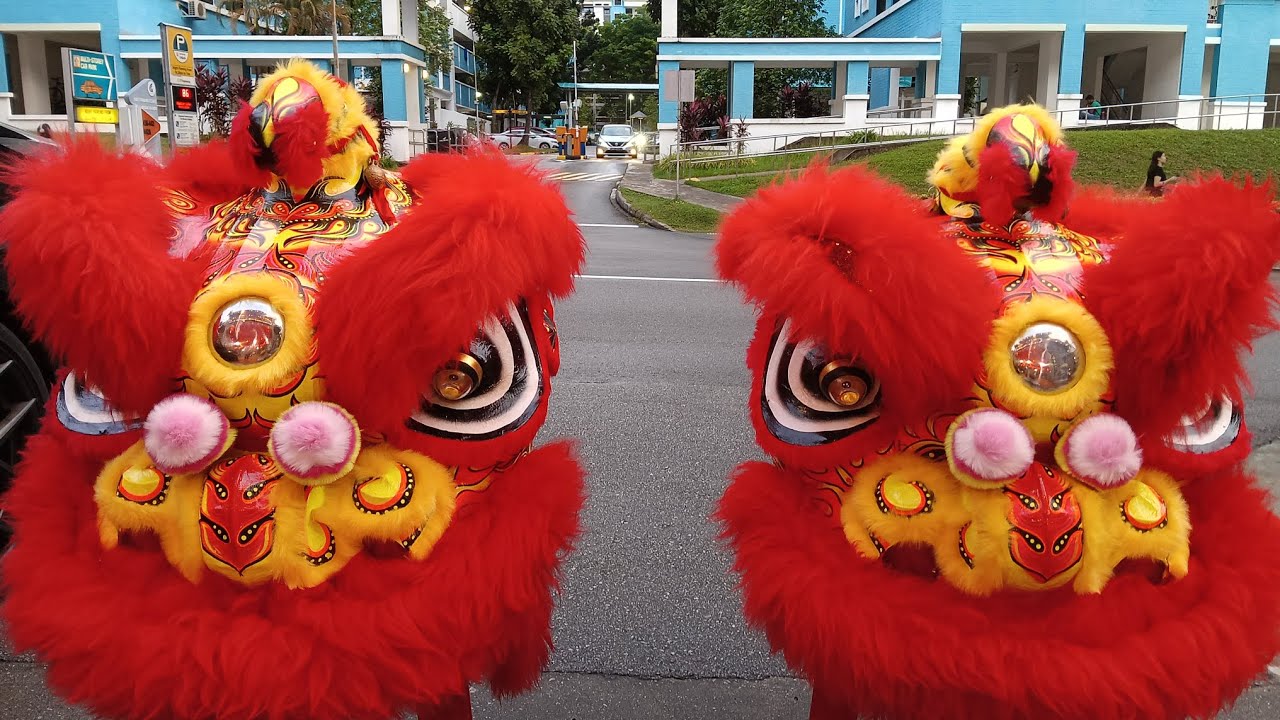 国际新加坡竹雲壇龍獅学院 Zhu Yun Tan Lion Dance Caiqing performance at 七福宫