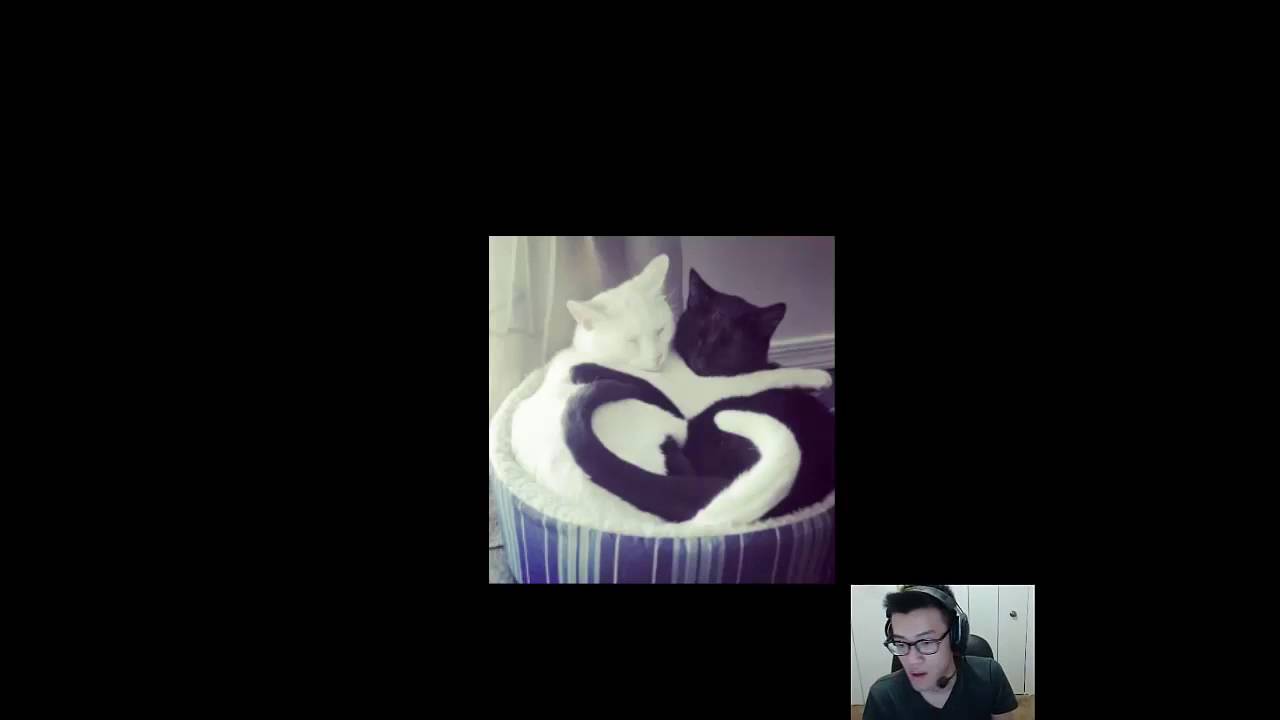 Pro Players gets trolled League Of Legends