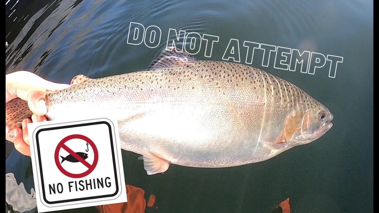 Trout Fishing The Chatfield State Park Marina(Do Not Attempt)