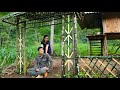 Together with the girl, redecorate the grounds of the house.