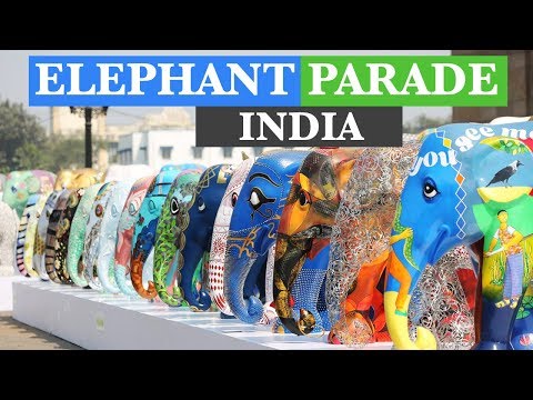 Elephant Parade India | Help The Hathi