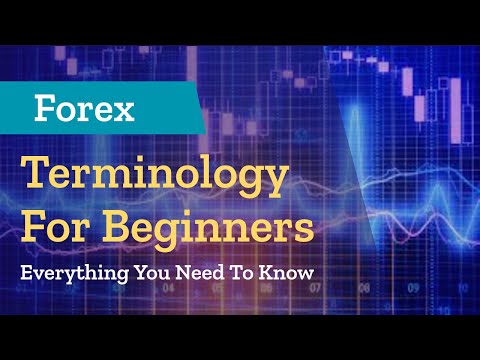 Forex Trading Forex Termination For Dummies 😮😮