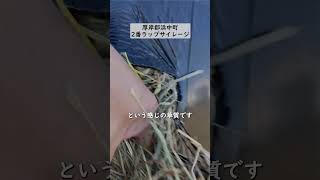 厚岸郡浜中町2番ラップ【fNn】