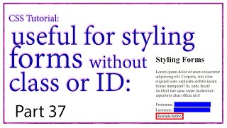 CSS Attribute Selectors Styling Forms Hindi