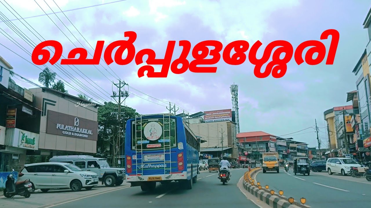 CHERPULASSERY | Cherpulassery - Pattambi road Cherpulassery street view ചെർപ്പുളശ്ശേരി കാഴ്ചകൾ