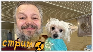 Вечерний стрим, отвечаем на ваши вопросы, делимся новостями 27.02.2026