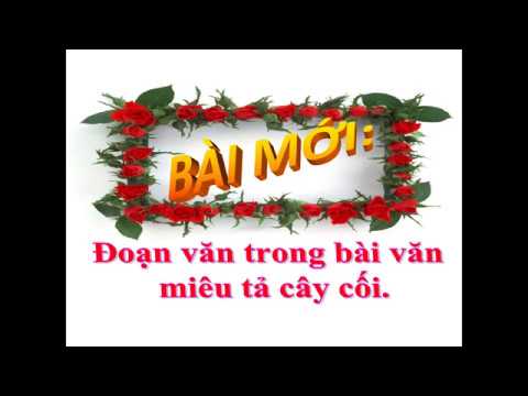 TLV 4: Đoạn văn trong bài miêu tả cây cối