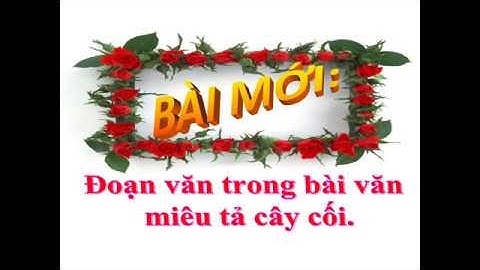 Tập Làm Văn Lớp 4 Tuần 23: Bài Đoạn văn trong bài văn miêu tả cây cối