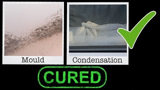 Cure Condensation and Stop Mould - Free