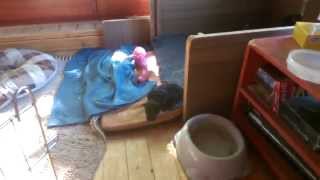 WP 20140512 005