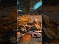 يا رايح فضل شاكر يا رايح فضل شاكر