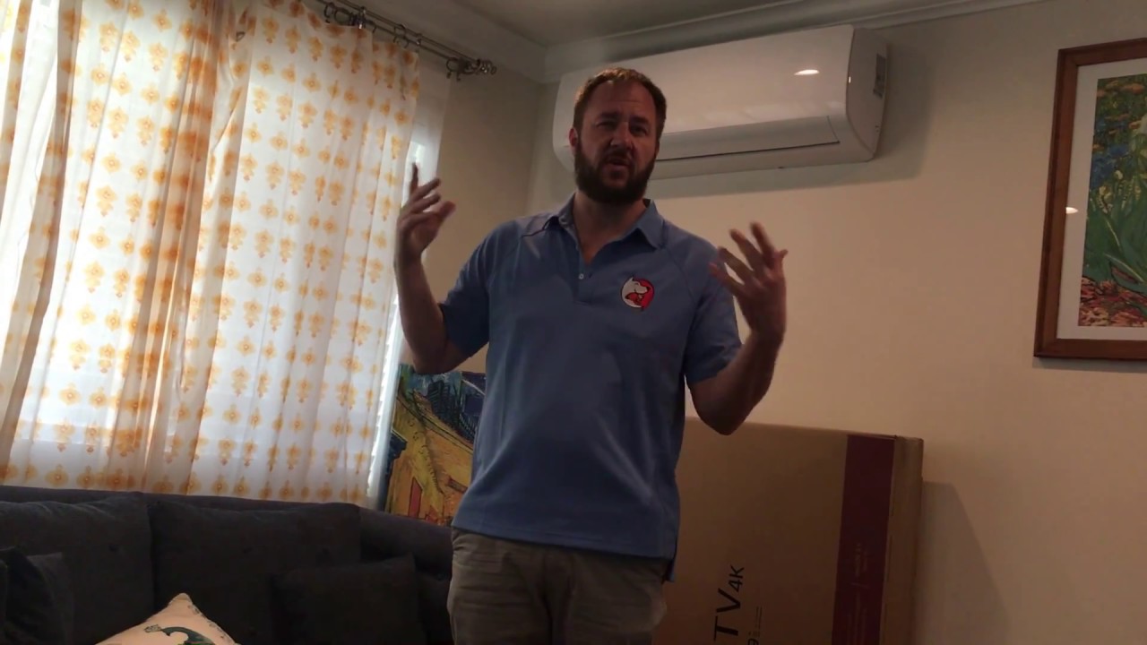 Tips to Help Penny Have Better Walks