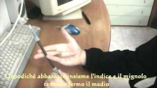 Flush Sonic Tutorial ita