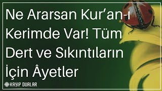 Ne Ararsan Kur’an-ı Kerimde Var! Tüm Dert ve Sıkıntıların İçin Âyetler