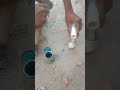 plumbing work!! प्लंबिंग वर्क!!