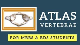 Anatomy of Atlas Vertebra I First Cervical vertebra I Vertebral Column Anatomy