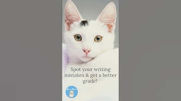 Proofreading Tips for Busy Online Students (Cat approved) 😺 👓  🖥️ 👩‍🎓 👨‍🎓