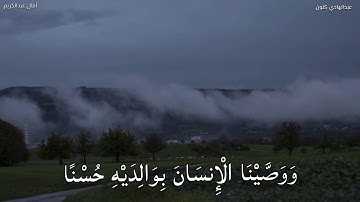 {ووصينا الإنسان بوالديه حسنا} على المقام العجم | تلاوة نادية من سورة العنكبوت للقارئ عبدالهادي كنون