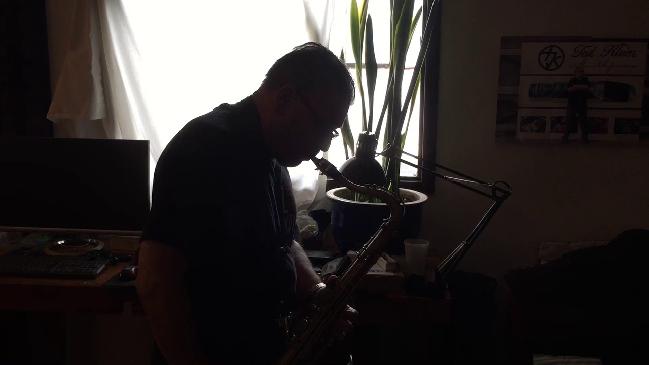 Jerry Weldon plays Ted klum Florida model hard Rubber Tenor 8*