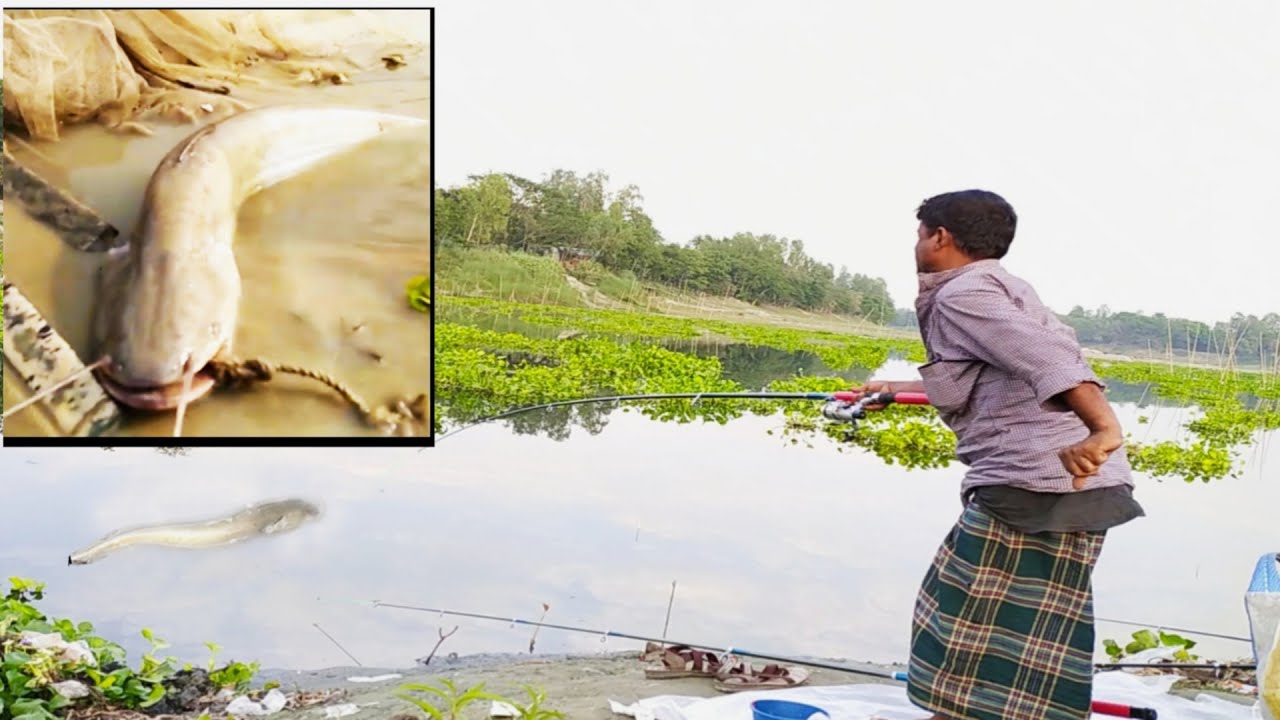 Fishing method। Boal fishing। Fish। - YouTube