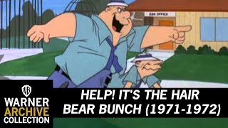 Help! It's the Hair Bear Bunch! (Theme Song)