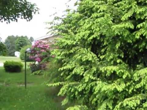 11 Fish Hatchery Road, New Gloucester, ME home video tour