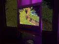 Baldur’s Gate: Dark Alliance II (2004) on Xbox. #baldursgate #xbox #retrogaming #CRT #gaming