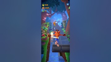 Turtle Woods Collection Run as Crash