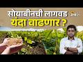 Soybean Rate: कमी पावसामुळे मका, उसाऐवजी सोयाबीनला पसंती मिळणार ? | Agrowon