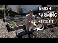 I learned the craziest garden tip from an amish farmer soil test by sight