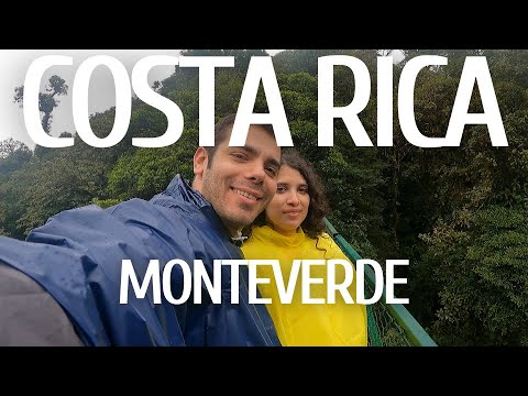 Video: Cele Mai Bune Lucruri De Făcut în Pădurea Monteverde Din Costa Rica