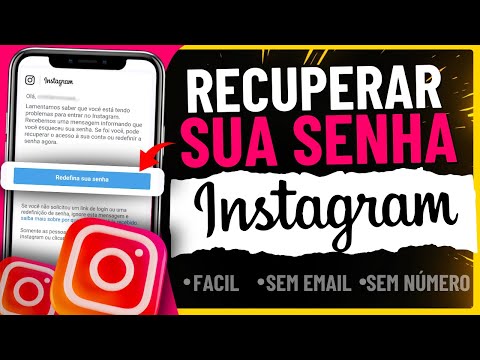 COMO RECUPERAR A