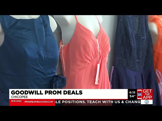 goodwill formal dresses Girl Formal Dresses Girls Pageant Dresses Toddler Ball Gowns main image 1