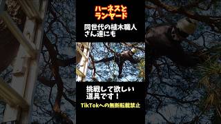 剪定の補助道具。ハーネスとランヤード。