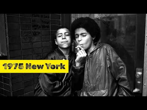 10         1975 1981