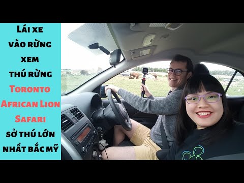 Video: Vườn thú Sư tử Châu Phi ở Ontario