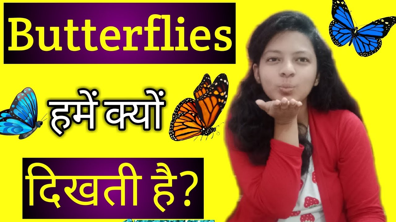 Manifestation के वक्त जगह जगह Butterflies क्यों दिखती है? Seeing