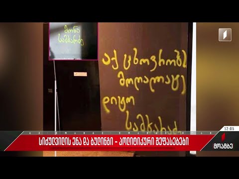 სიძულვილის ენა და ბულინგი - პოლიტიკური შეფასებები