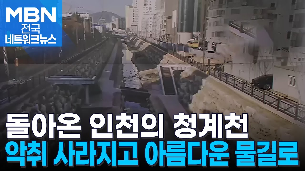 30여 년 만에 숨통…되살아난 인천의 청계천 [전국네트워크]