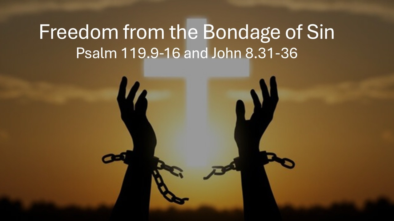 Freedom from the Bondage of Sin - John 8.31-36 - July 5, 2026