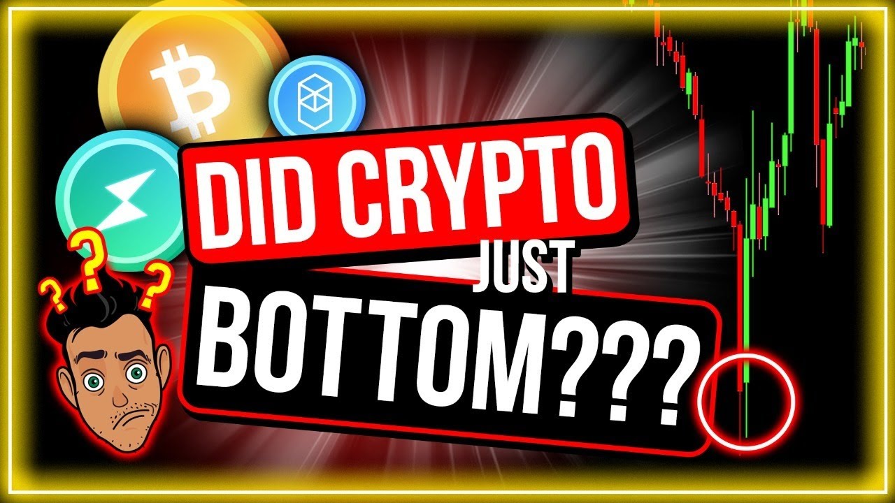 IS THE BITCOIN PRICE BOTTOM IN? (7 BEST REASONS WHY I THINK IT IS)