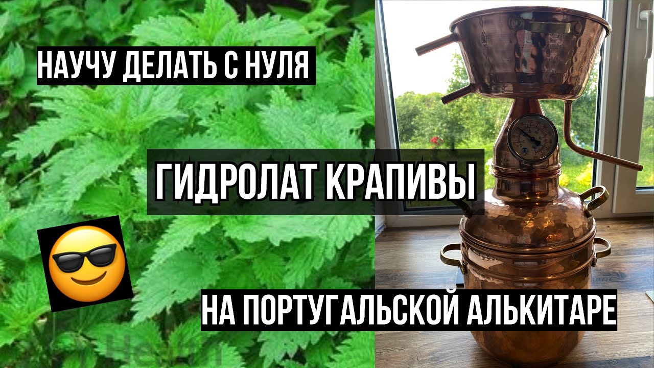 Гидролат крапивы дома. Делаем гидролат на алькитаре - YouTube