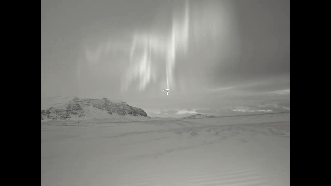 new jazz type beat - ealraz