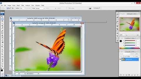 difference between pixel and resolution