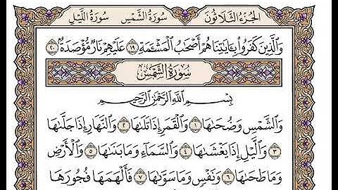 سورة الشمس الشيخ وديع اليمني