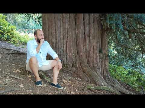 Video: Gezegendeki En Yaşlı Ağaçlar Nelerdir