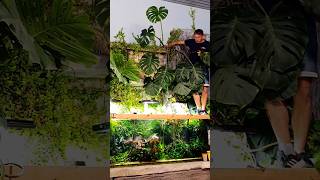1600 liter AquaRebell Jungle Tank