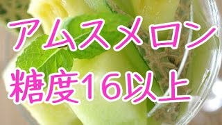 アムスメロン甘さ16！お中元ギフトにメロン通販。千葉県銚子産の金印。Japanese Amusu melon